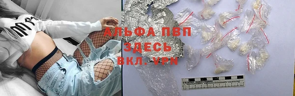 спиды Богородицк