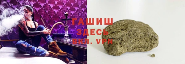 спиды Богородицк
