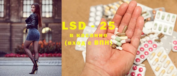 PSILOCYBIN Богданович