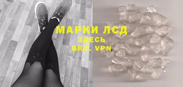 PSILOCYBIN Богданович