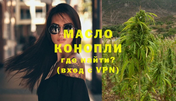спиды Богородицк