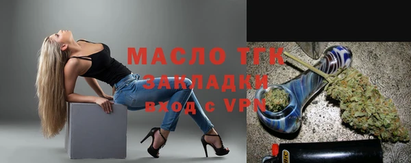 спиды Богородицк