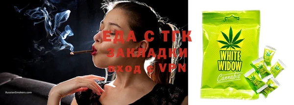 спиды Богородицк