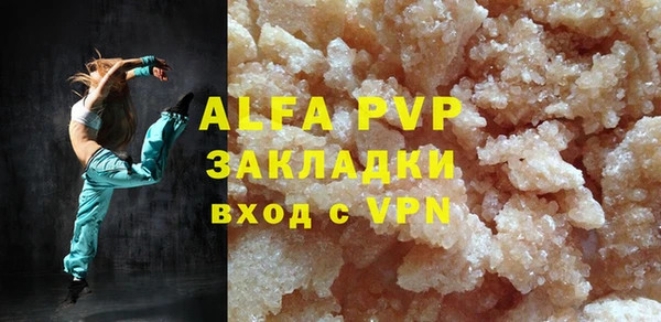 спиды Богородицк
