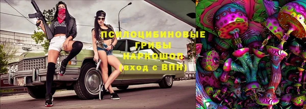 спиды Богородицк