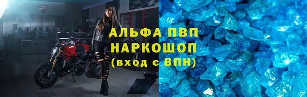 спиды Богородицк